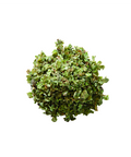 Ein kleiner Haufen grüner, gefriergetrockneter gerebelter Thymianblätter aus der MYSPICE-Serie, dargestellt als strukturierte Kräuterfragmente auf weißem Hintergrund.