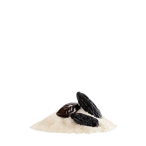 Drei ganze, dunkelbraune Tonkabohnen, die auf einem kleinen Haufen weißem Kristallzucker liegen, freigestellt vor einem schlichten weißen Hintergrund.