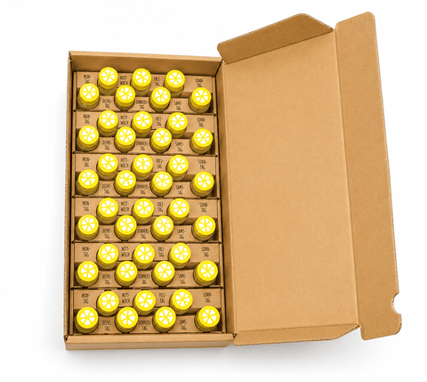 Ingwer Shot Kur - 42 Shots - Classic Box