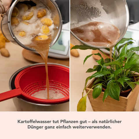 WunderPeeler® (mit Träger) | Kartoffelschäler-Aufsatz für Thermomix TM7, TM6, TM5, TM31
