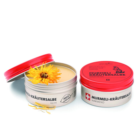 Zwei silberne 100-ml-Dosen der wärmenden „puralpina Murmeli-Kräutersalbe“, eine geschlossen und eine geöffnet, mit der glatten Salbe und einer leuchtend gelben Arnikablüte darauf.