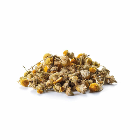 Ein kleiner Haufen loser Sirocco „Camomile Orange Blossoms“ Kräutertee auf weißem Hintergrund, bestehend aus ganzen getrockneten Kamillenblüten mit gelben Köpfchen und weißen Blütenblättern.