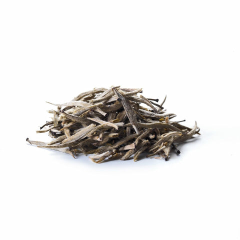Ein kleiner Haufen loser Sirocco „White Silver Needle“ Weißtee mit Jasmin auf weißem Hintergrund, bestehend aus langen, schlanken und flaumigen, silberweißen Teeknospen.