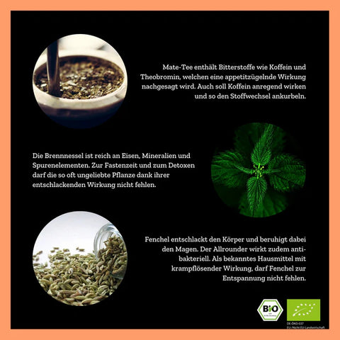 Infografik mit den Inhaltsstoffen des Tees: Mate-Tee (oben, braune Flüssigkeit und Pulver), Brennnessel (Mitte, grüne Blätter) und Fenchel (unten, Samen). Daneben stehen Beschreibungen ihrer appetitzügelnden, entschlackenden und antibakteriellen Wirkung.