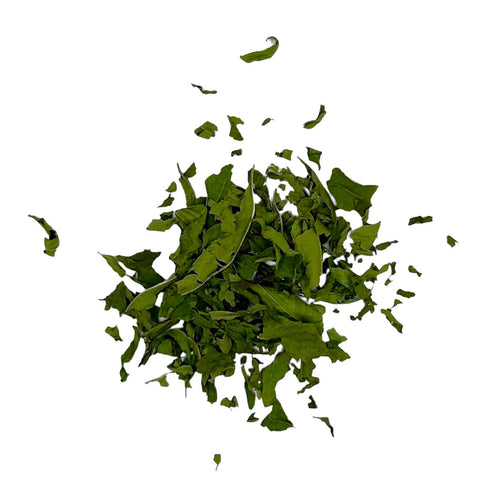 Ein kleiner Haufen getrockneter, langer und gekräuselter grüner Eisenkrautblätter (Verveine), die auf einem schlichten weißen Hintergrund verstreut sind.